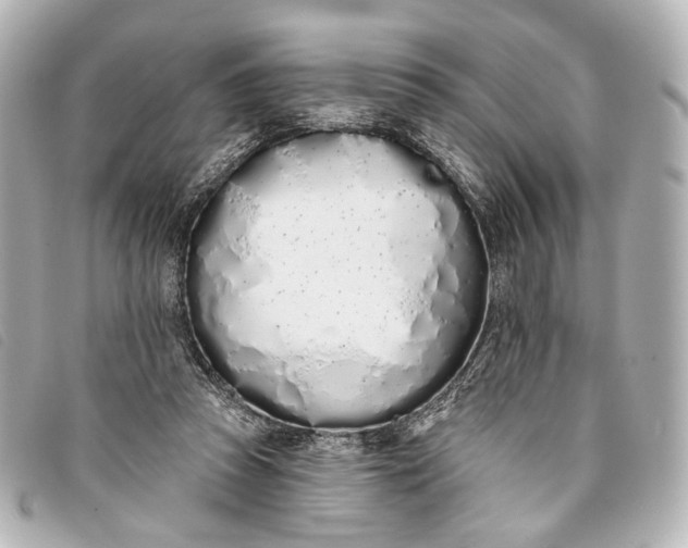 X0000093360353200710251136