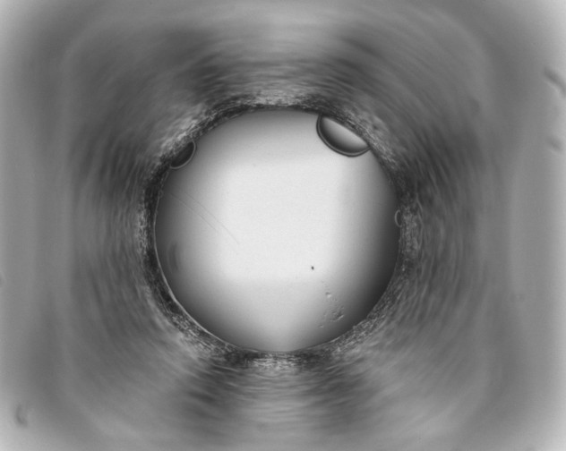 X0000093360354200710251136