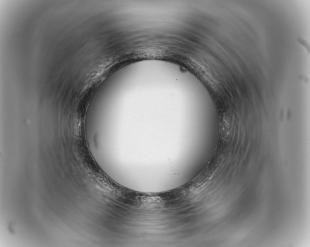 X0000093360355200710251136