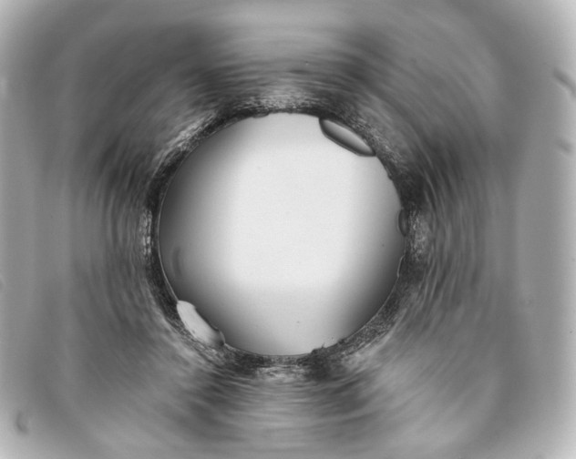 X0000093360356200710251136