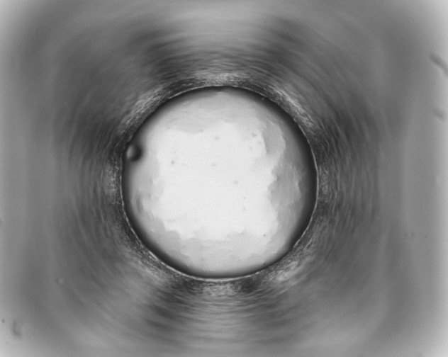 X0000093360357200710251136