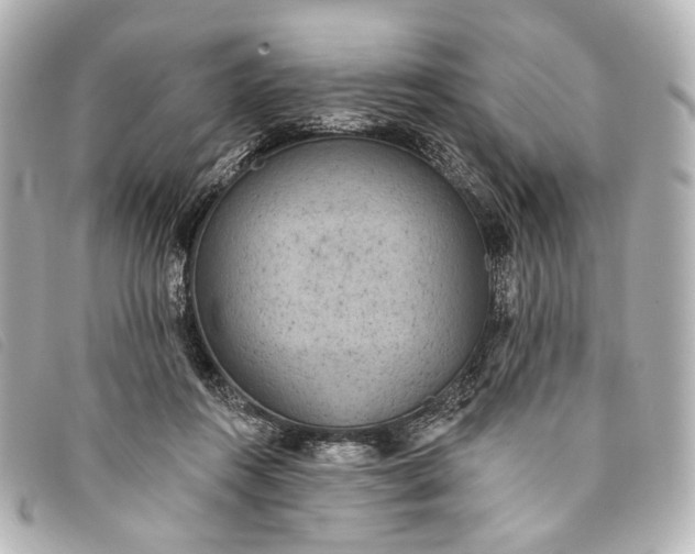 X0000093360360200710251136