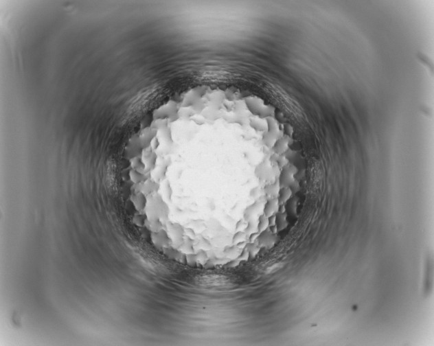 X0000093360361200710251136