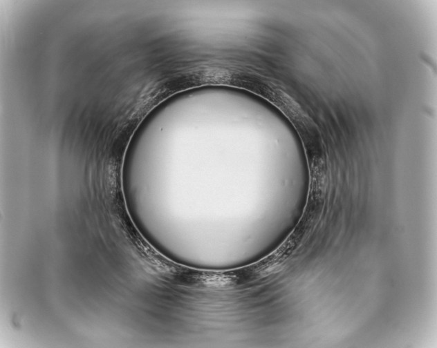 X0000093360363200710251136