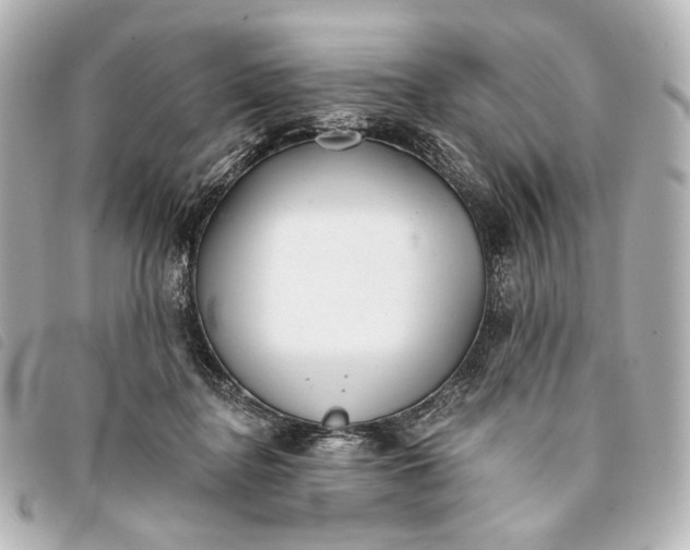 X0000093360364200710251136