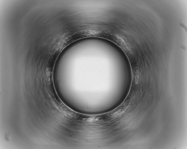 X0000093360366200710251136
