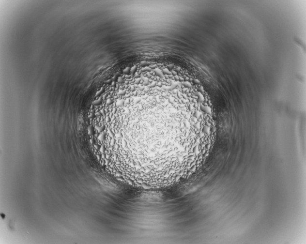 X0000093360369200710251137
