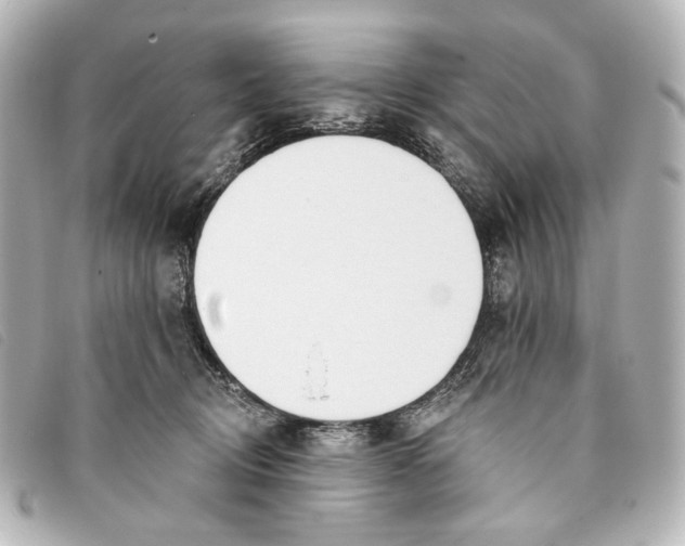 X0000093360370200710251137