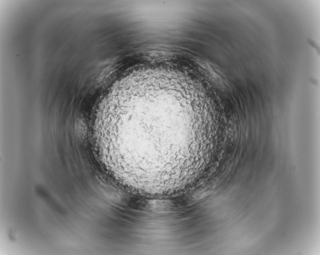 X0000093360371200710251137