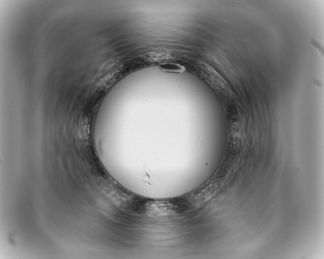 X0000093360372200710251137