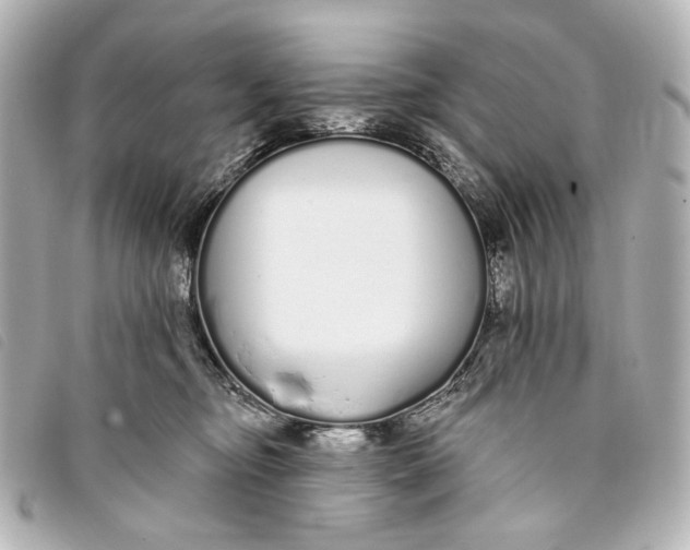 X0000093360374200710251137