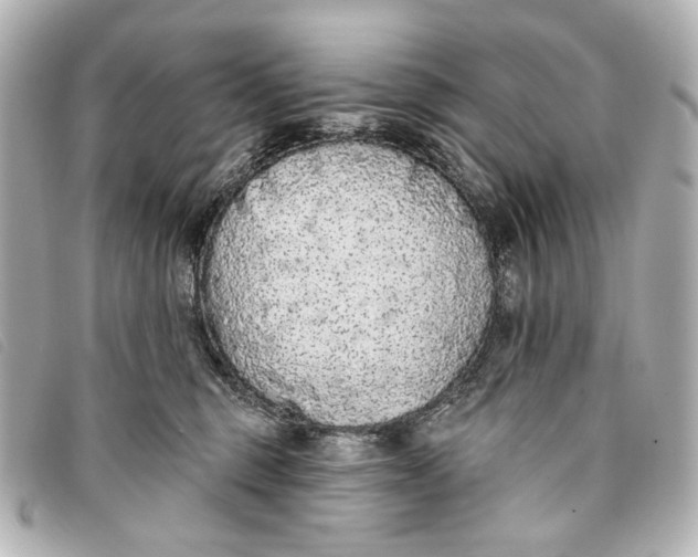 X0000093360375200710251137