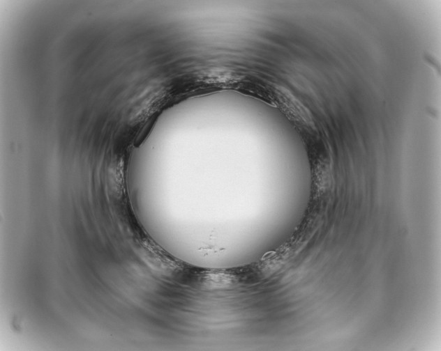 X0000093360376200710251137
