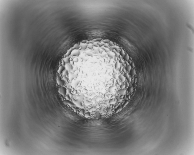 X0000093360377200710251137