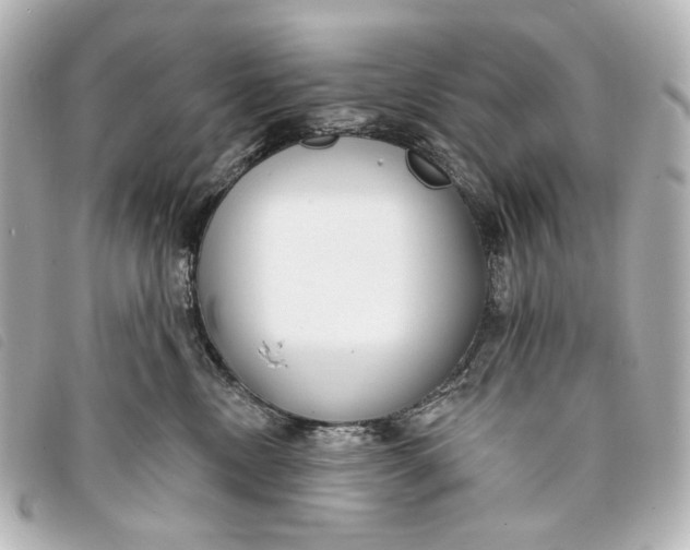 X0000093360378200710251137