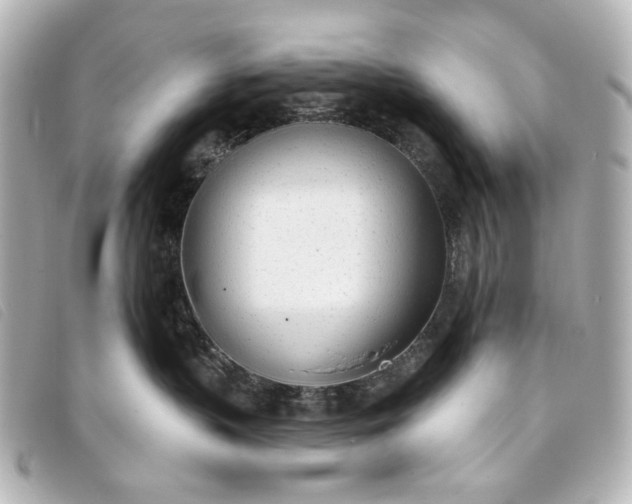 X0000093360383200710251137