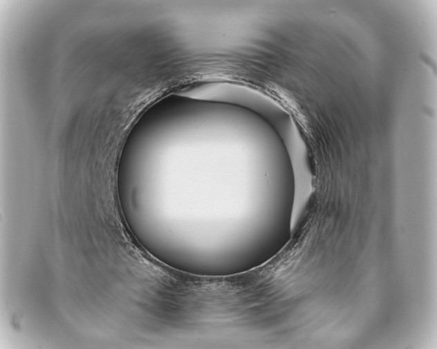 X0000093360385200710251136
