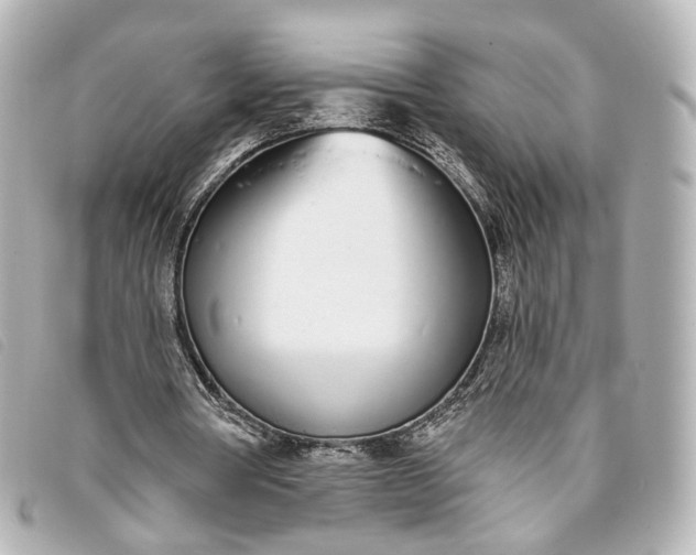 X0000093360386200710251136