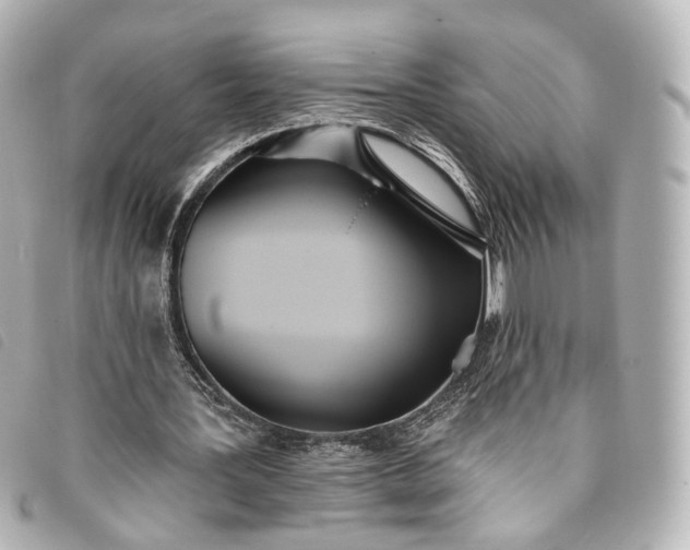 X0000093360387200710251136