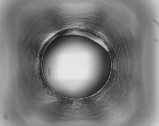 X0000093360388200710251136
