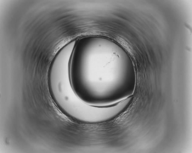 X0000093360389200710251136