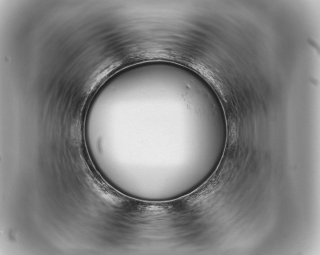 X0000093360390200710251136