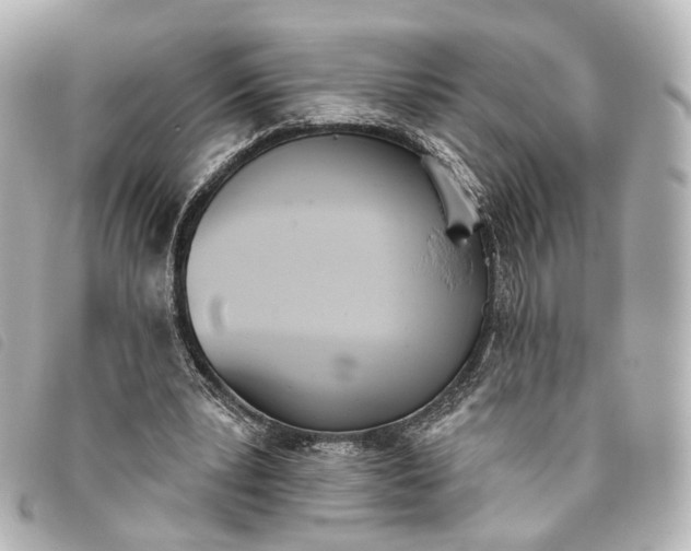 X0000093360391200710251136