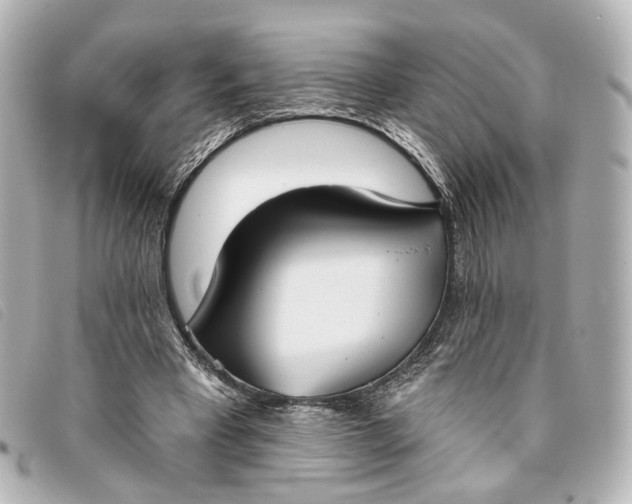 X0000093360393200710251136