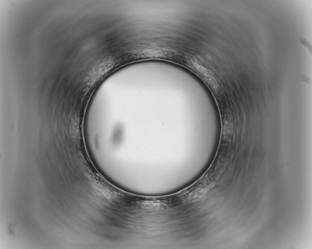 X0000093360394200710251136