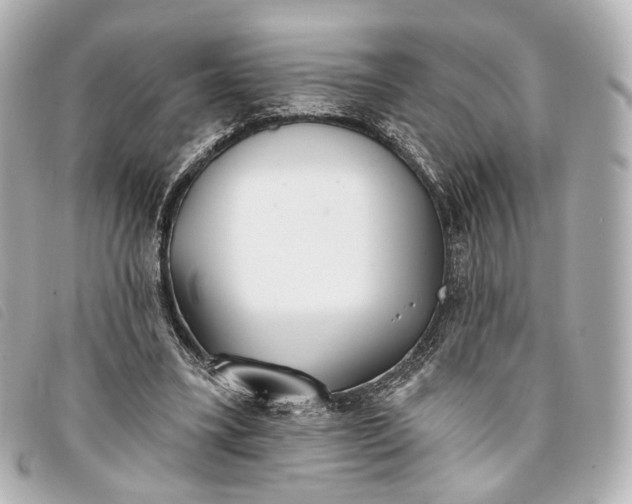 X0000093360395200710251136