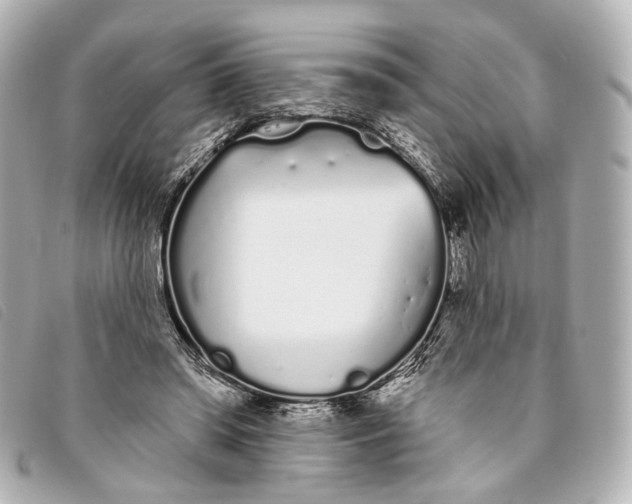 X0000093360398200710251136