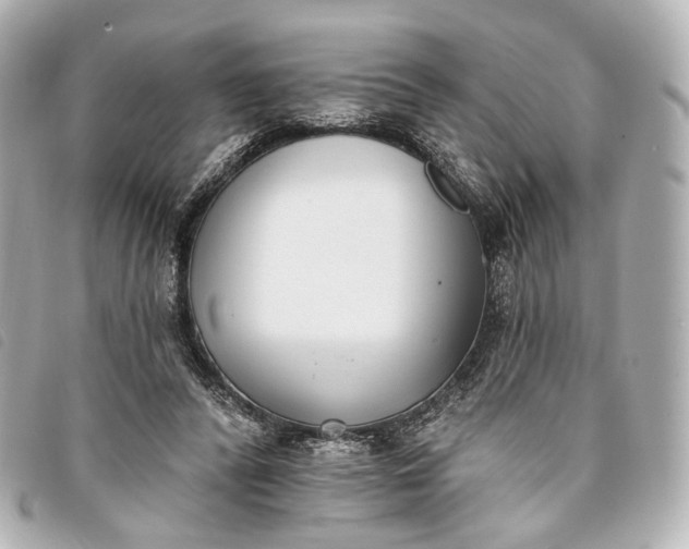X0000093360400200710251136