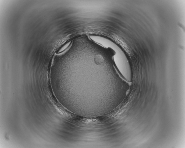X0000093360401200710251136