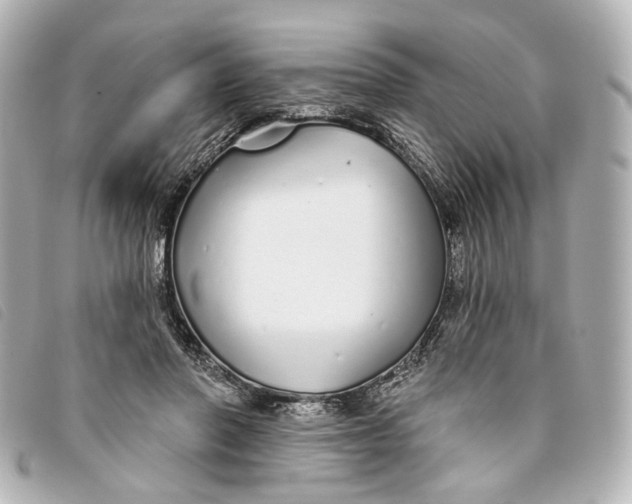 X0000093360406200710251135
