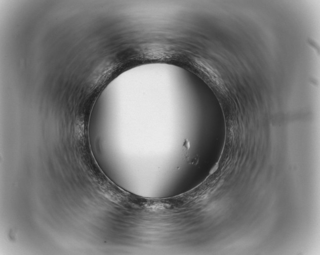 X0000093360407200710251135