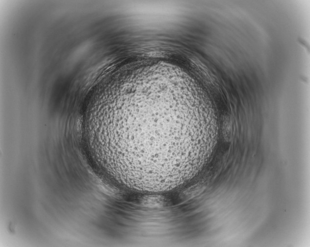 X0000093360410200710251135