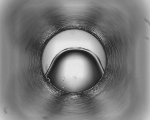 X0000093360411200710251135