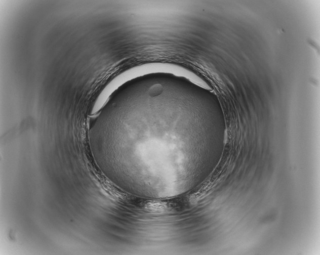 X0000093360413200710251135