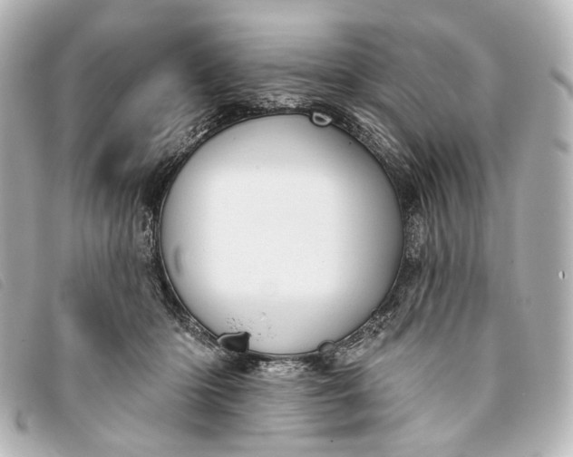 X0000093360414200710251135