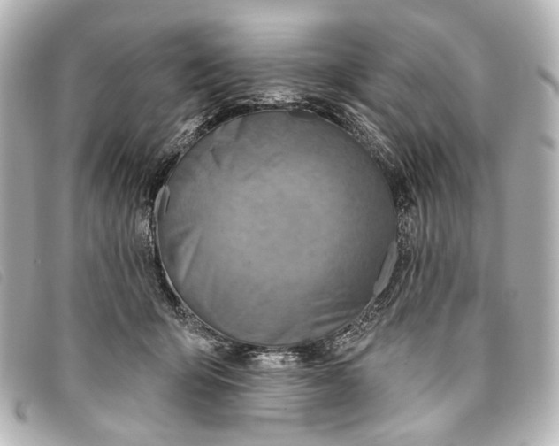 X0000093360415200710251135