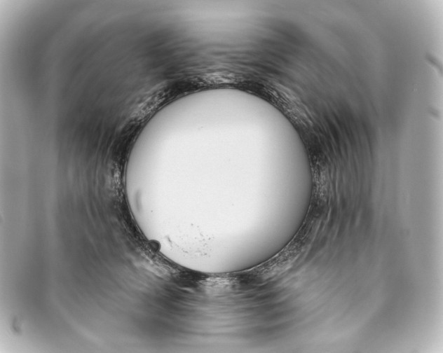 X0000093360418200710251135