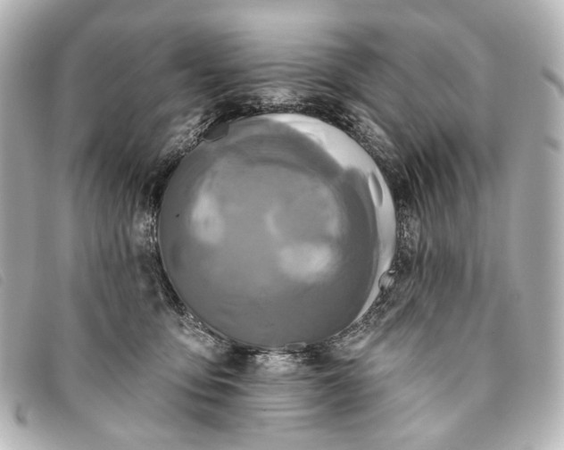 X0000093360419200710251135