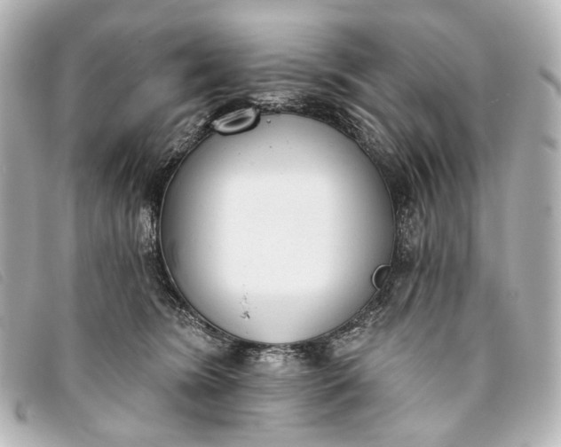 X0000093360420200710251135
