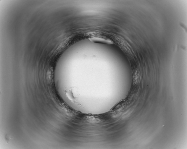 X0000093360424200710251135