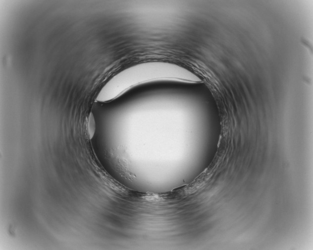 X0000093360425200710251135