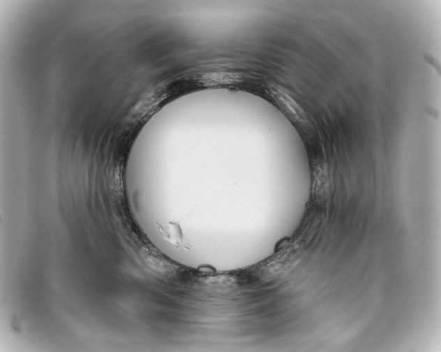 X0000093360426200710251135