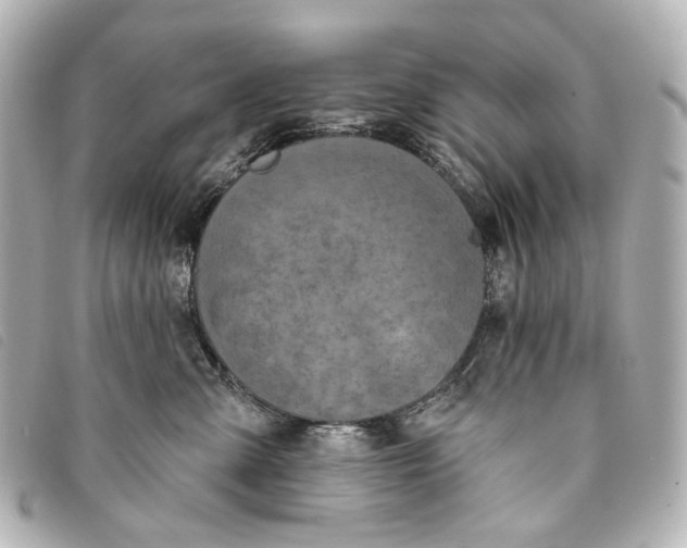 X0000093360427200710251135