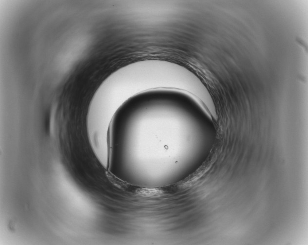 X0000093360429200710251135