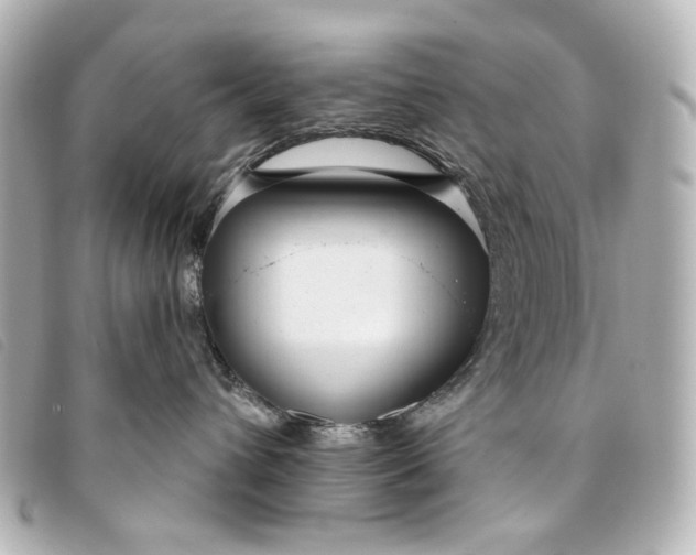 X0000093360432200710251135