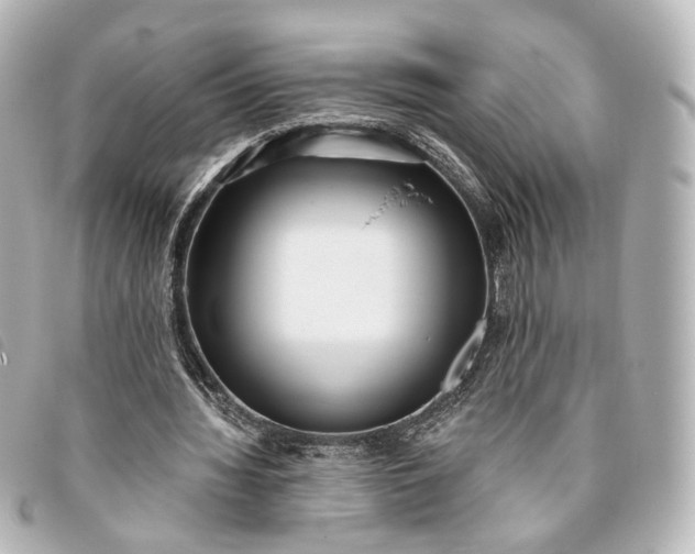 X0000093360436200710251134